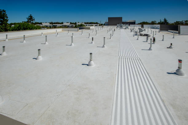 Best Roof Insulation Installation  in Grayson, GA